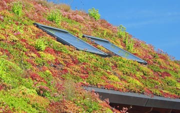 Harraby living roof systems